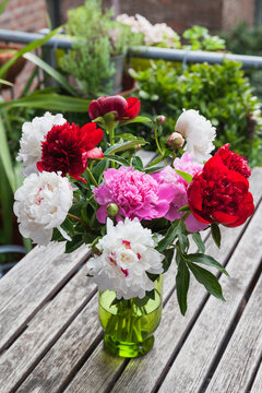 Bunch of white, red and pink Peonies in vase on garden table