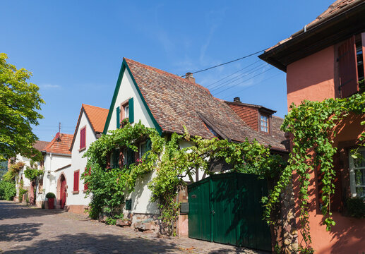 Germany, Rhodt Unter Rietburg, German Wine Route, Typical Historic Houses