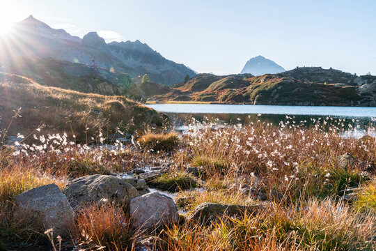Switzerland, Canton of Grisons, Meadow in front of Crap&Ocirc;&oslash;&Omega;Alv&Ocirc;&oslash;&Omega;Lajets&Ocirc;&oslash;&Omega;lake at autumn sunset