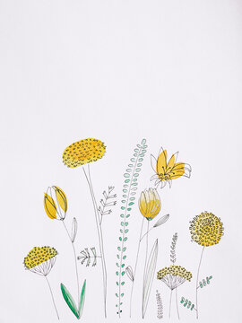 Yellow Flowers Watercolor Painting On White Background