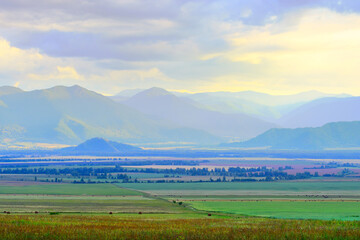 Evening in the Uymon Valley in the Altai Mountains