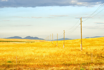 Fototapeta premium Power transmission poles in the steppes of Khakassia