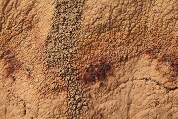 Close-up of soil along Coal Vein Nature Trail in Theodore Roosevelt National Park, North Dakota