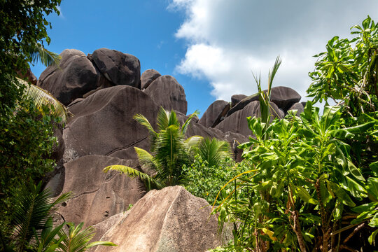 Seychelles, La Digue, Anse Source D&Ocirc;&oslash;&Omega;Argent, granite rocks