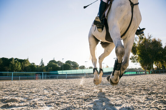 Low section of girl riding white horse during training at ranch on sunny day