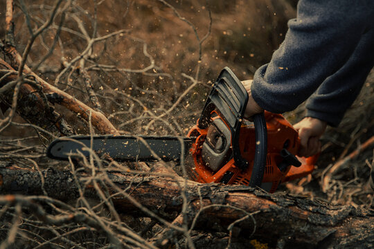 Teenage boy cutting tree trunk with chainsaw in forest