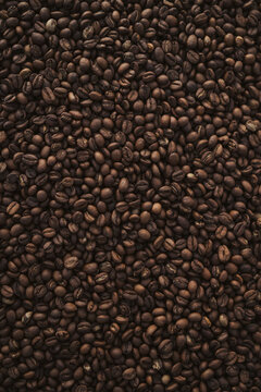 Roasted coffee beans