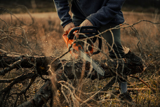 Teenage boy cutting tree trunk with chainsaw in forest