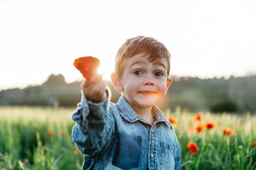 Boy in a poppy field in spring holding poppy