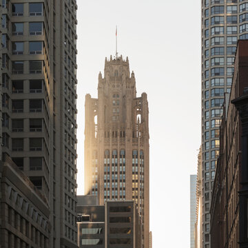 Tribune Tower along with modern building in city during sunrise, Chicago, USA
