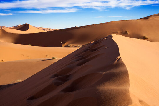Morocco, Sahara, Merzouga, Erg Chebbi, desert dune
