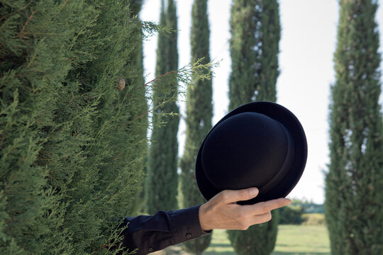 Italy, Tuscany, man's hand surrounded by cypresses holding a bowler hat
