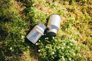 Milk churns lying in grass