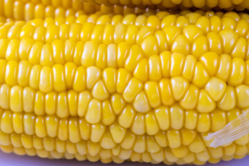Delicious corn on the cob captured in an extreme. Close up view of fresh corn cobs.