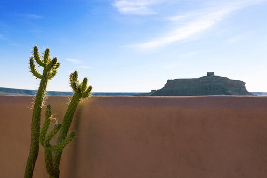 Morocco, Ait-Ben-Haddou, succulent plant in front of loam wall