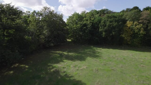 Drone rising shot over trees near Snaptun in Denmark