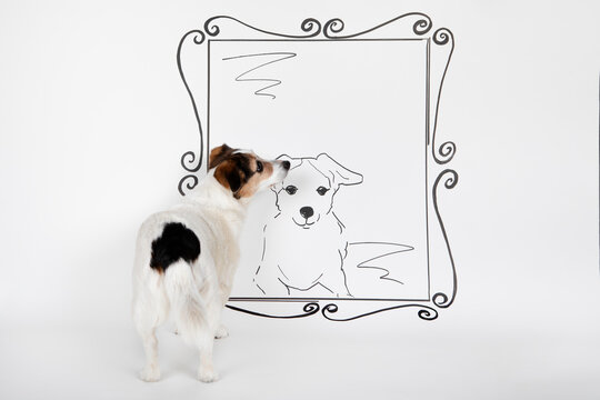 Mongrel standing in front of drawn mirror with image of himself