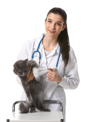 Female veterinarian bandaging cat's paw on white background