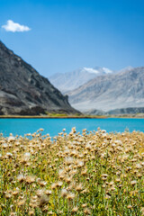 Naklejka na ściany i meble peaceful lake with flowers around in Pamir