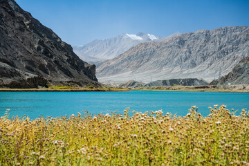 peaceful lake with flowers around in Pamir