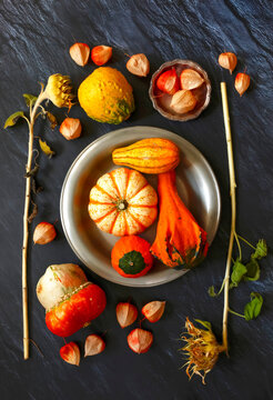 Still life with ornamental pumpkins
