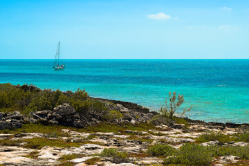 Caribbean Cruising Sailboats 877