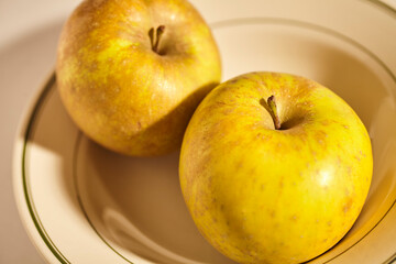 Roxbury Russet, an heirloom apple variety.