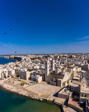 Italy, Province of Bari, Molfetta, Drone view of Church of Saint Conrad and surrounding houses in summer