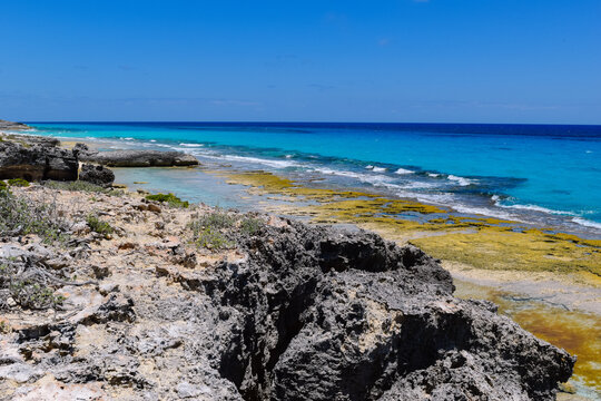 Bahamas Ocean Views 897