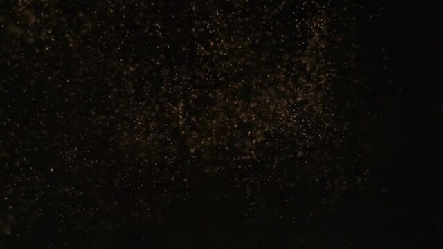 Slow motion close up shot of roasted coffee beans exploding and disintegrating into a fine dust