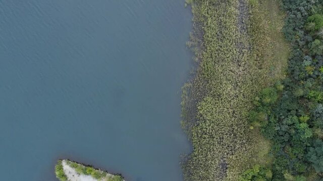 Smooth flight in top down view over a unique penisula of white sand and bushes towards the natural growing shore with green plants