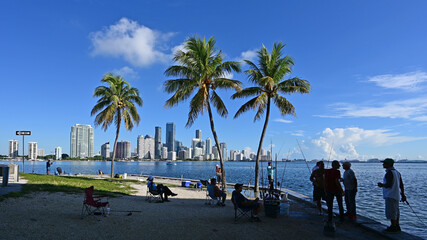 Naklejka premium Fishermen under palm trees on Rickenbacker Causeway with City of Miami skyline in background on sunny summer morning.