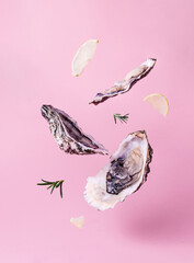 Flying oysters on a pink background