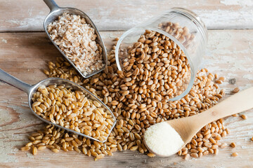 Wheat in form of flour, grains and flakes