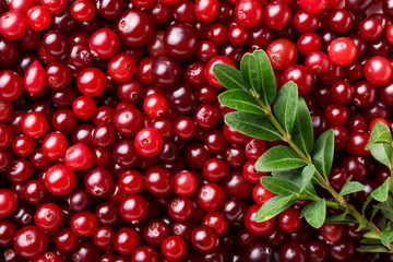 Ripe juicy cranberries as background