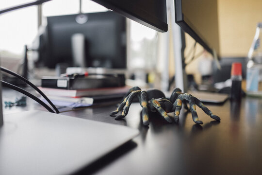 Toy tarantula on a desk