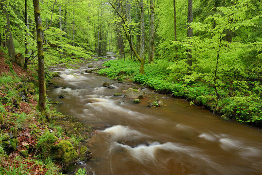 Germany, Saxony-Anhalt, Schierke, Harz, Bode river in the Elendstal valley
