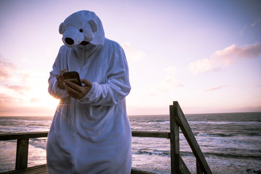 Denmark, Nordjuetland, Man wearing ice bear costume at the beach, using smartphone