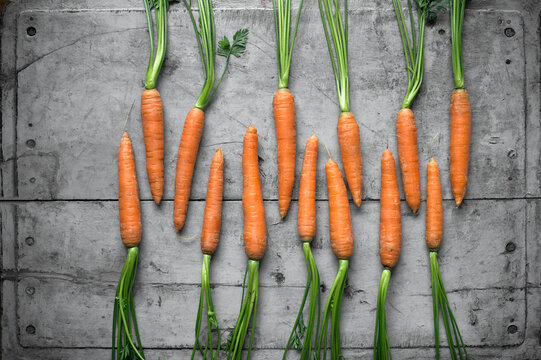 Row of fresh carrots lying on gray wooden surface