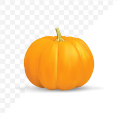 realistic pumpkin isolated on transparent background.