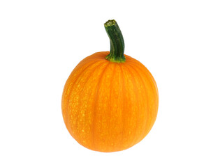single pumpkin isolated on white background