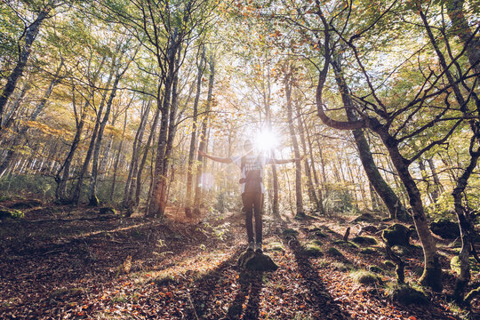 Spain, Navarra, Irati Forest, young man standing in lush forest with outstretched arms