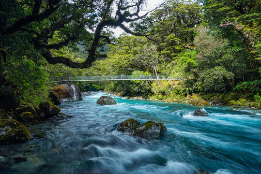New Zealand, Southland, Te Anau, Bridge across Hollyford River flowing in Fiordland National Park