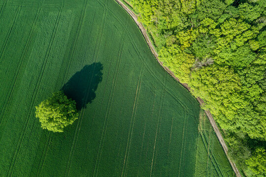 Germany, Bavaria, Aerial view of country road stretching along edge of green countryside field