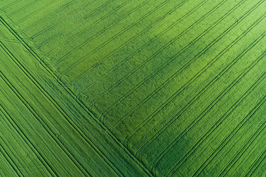 Germany, Bavaria, Aerial view of green countryside field covered in pattern of tire tracks