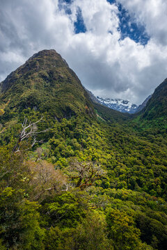 New Zealand,&Ocirc;&oslash;&Omega;Southland,&Ocirc;&oslash;&Omega;Scenic view of Mount Christina and Mount Crosscut seen from Pops View Lookout