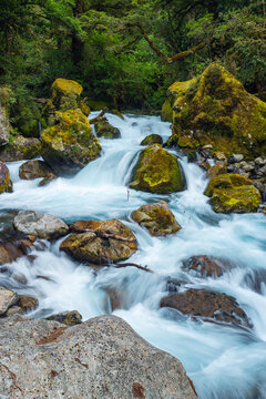 New Zealand, Southland, Te Anau, Long exposure of Marian Creek rushing in Fiordland National Park