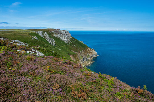 United Kingdom, England, Devon, Island of Lundy, Bristol channel, coastline