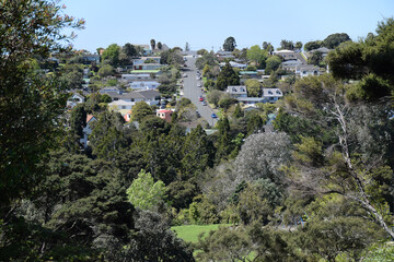 Fototapeta na wymiar An Auckland hillside adorned with homes
