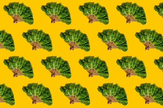 Pattern of hand fans made of lettuce leaves
